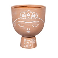 terracotta plant pots