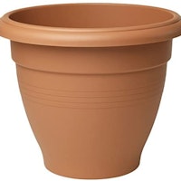 Stewart 50 cm Palladian Planter
