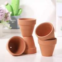 10 Pcs Mini Clay Pots