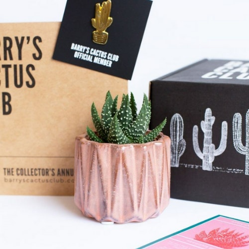 Barry's Cactus Club