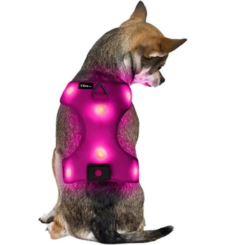 Ultra Pink Dog Small Harness