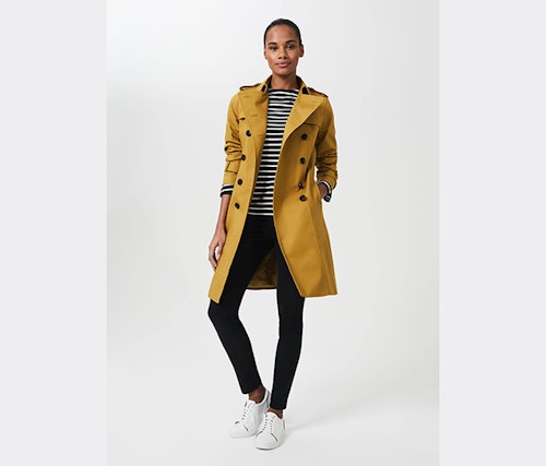 yellow jacket