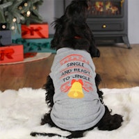 Jingle Bell Christmas Jumper For Dogs