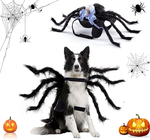 Dorakitten Halloween Spider Costumes