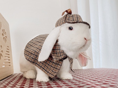 BinkyingCottons Sherlock Holmes Deerstalker&Cape