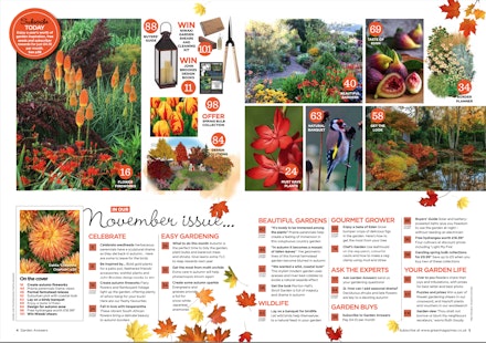 Full list of November 2021 issue content Full list of November 2021 issue content