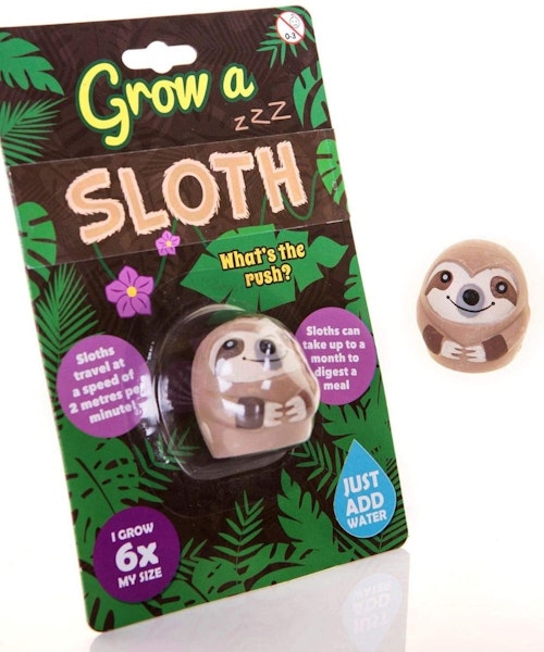 Grow a Sloth Toy