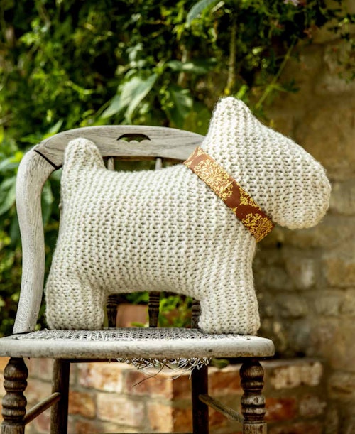 dog cushion