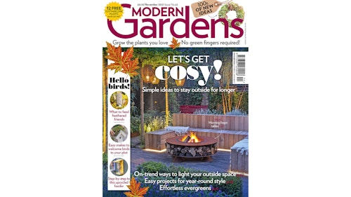 November issue of Modern Gardens magazine