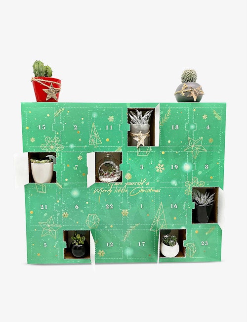The Urban Botanist, Limited Edition Plant Advent Calendar, £194.95