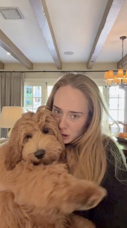 adeles dog adeles dog