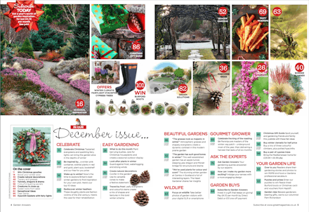 Garden Answers December 2021 contents spread Garden Answers December 2021 contents spread