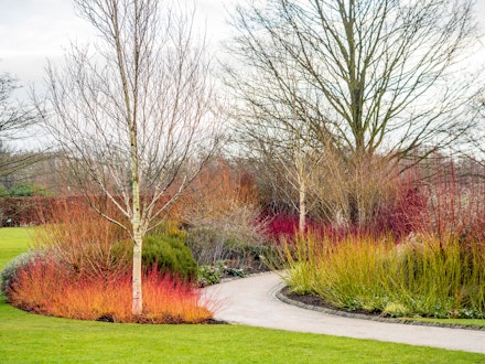 RHS Harlow Carr RHS Harlow Carr