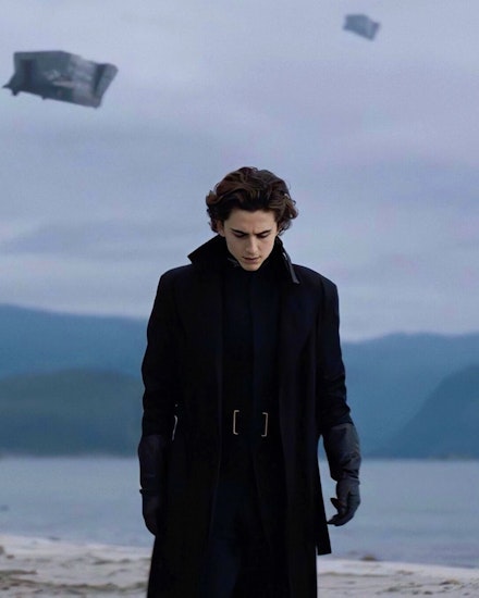 timothee chalamet in dune timothee chalamet in dune