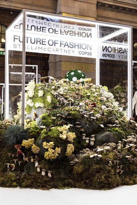 Stella McCartney's living mushroom display at COP26 Stella McCartney's living mushroom display at COP26