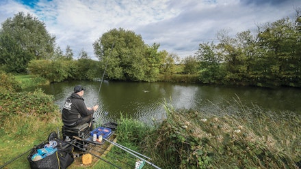 Fishery focus Fishery focus