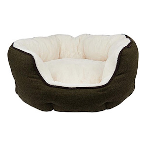 Wainwright's Scallop Pet Bed Green