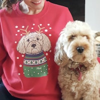 Personalised Christmas Dog Jumper