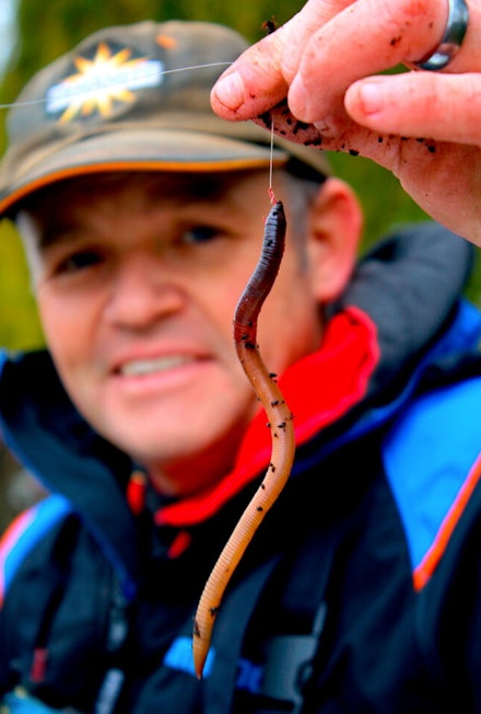 Fish a big worm Fish a big worm