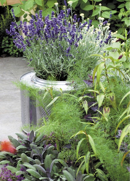 A washing machine drum makes a shiny steel planter A washing machine drum makes a shiny steel planter