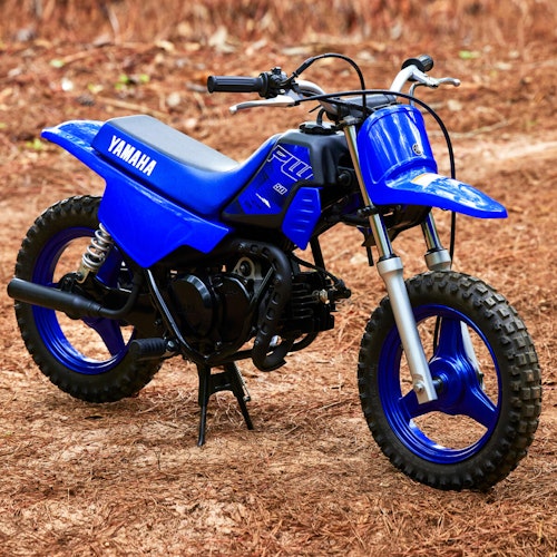 Yamaha PW-50