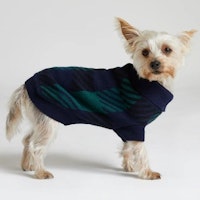 Green RI Dog Tartan Jumper