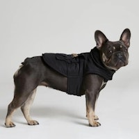 Black RI Dog Coat With Backpack