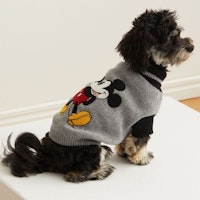 Appliquu00e9d dog jumper