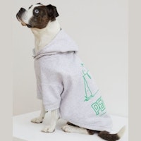 Printed dog hoodie