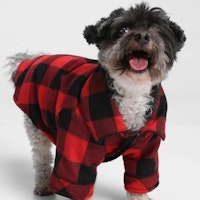 GAP Dog PJ One-Piece
