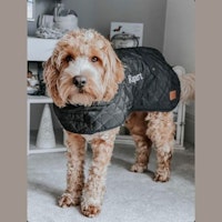 Personalised Traditional Quilted Blanket Heritage Dog Coat