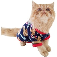 Festive Pet Gingerbread Fleece Jumper