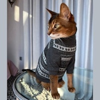 Kotomoda Cat Winter sweater