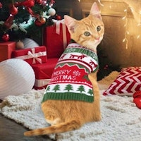 Christmas cat Jumper