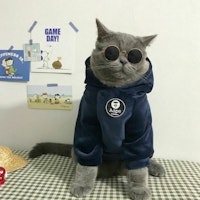 Cat Fleece Hooded Jacket