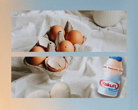 Yakult Yakult