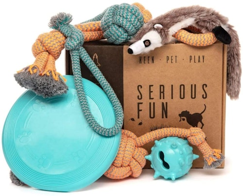 Keen.Pet.Play Puppy Dog Toys - Gift Box of 6 Interactive Puppy Toys