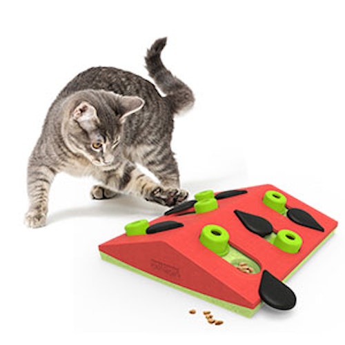 Nina Ottosson Melon Madness Puzzle and Play Cat Treat Puzzle