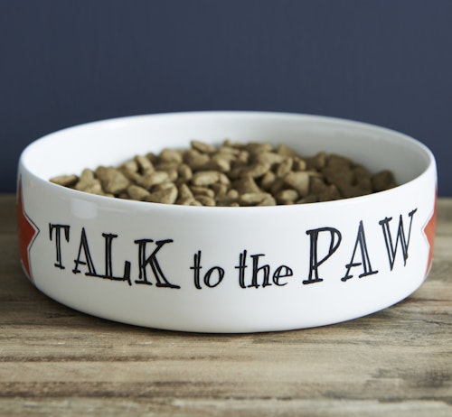 Talk to the Paw Cat Bowl