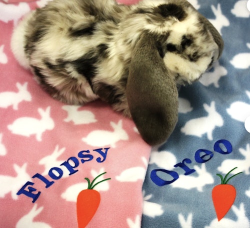 BuyGiftsPersonalised Personalised Rabbit Blanket