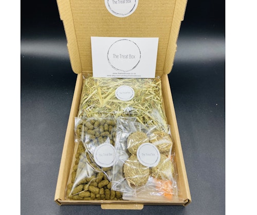 TheTreatBox Rabbit Treat Gift Box