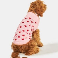 Skinnydip Pets Love Heart Jumper