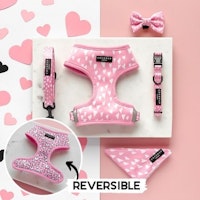Cupid Reversible Harness, Lead & Collar Bundle