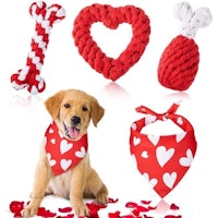 Valentine's Day Dog Toys Set