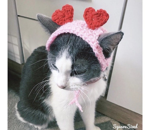 VioletInStitches Heart Cat Hat