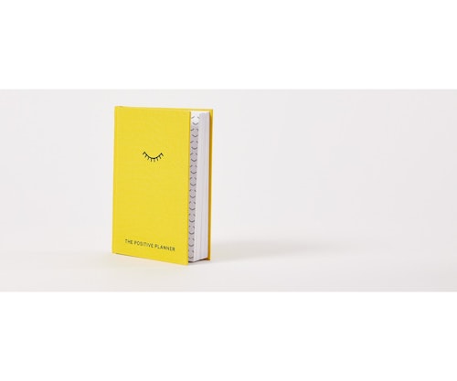 The Positive Planner