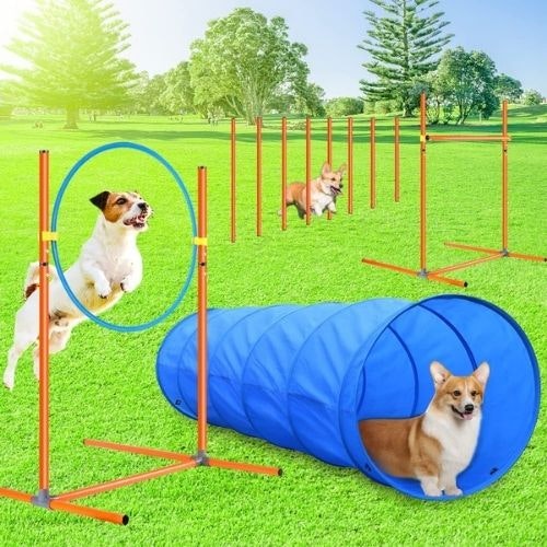 X XBEN Upgraded Dog Agility Equipment Kit
