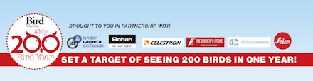 My200BirdYear 2022 partners My200BirdYear 2022 partners