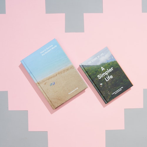 How to Survive the Modern World, and A Simpler Life, The School of Life, Mens His Valentines Gifts
