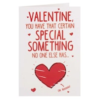 Special Something Funny Valentine's Day Card